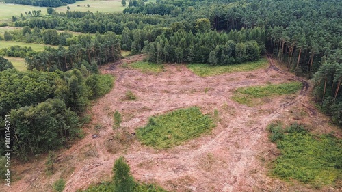 Contrast between dense forest and cleared land in deforestation aerial image