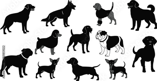 Dog breed silhouette collection, side profile pet illustration, black vector dogs, diverse canine types, flat animal drawing, isolated graphic