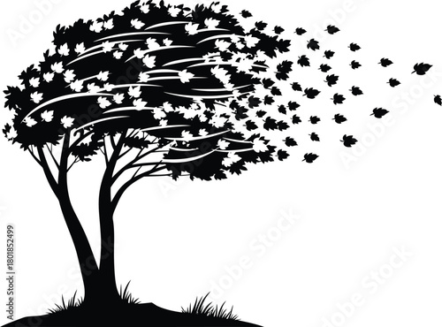 Vector silhouette of tree in wind blowing leaves autumn fall season art eps