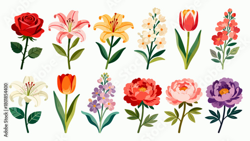 A collection of various flowers, with cartoon hand-drawn vector illustrations