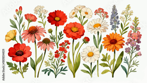 A collection of various flowers, with cartoon hand-drawn vector illustrations