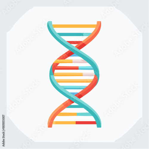 Colorful DNA Double Helix Structure Illustration on White.