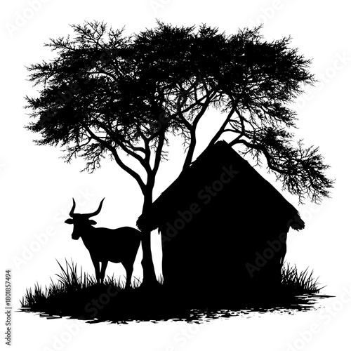 African rural scene silhouette, a cow under shady tree beside traditional hut
