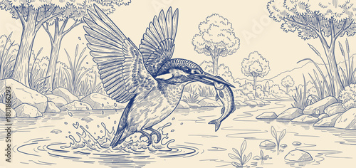 Hand drawn illustration of the majestic Kingfisher Gracefully Emerging From the River While Capturing Its Fresh Silvery Fish Prey