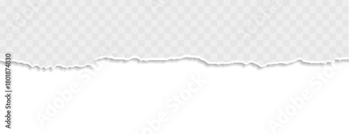 ripped torn paper banner in white color