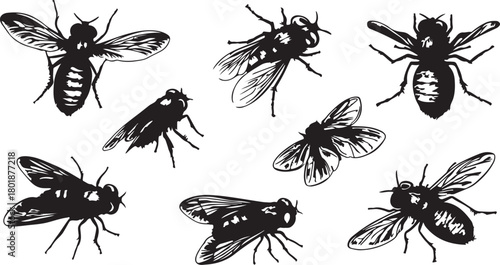 Set of black insect and spider silhouettes including ant, fly, bee, beetle, butterfly, mosquito, cockroach, and dragonfly for a seamless vector pattern collection