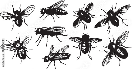 Black vector silhouette set collection of insects including ant, spider, bug, beetle, bee, fly, mosquito, butterfly, cockroach, and dragonfly for a seamless pattern