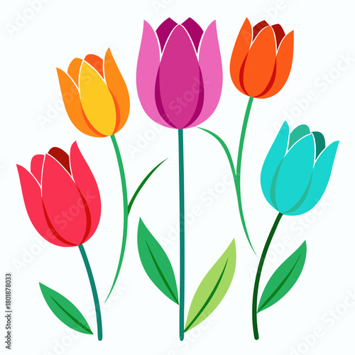 bouquet of colorful tulips vector