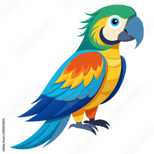 blue and yellow macaw