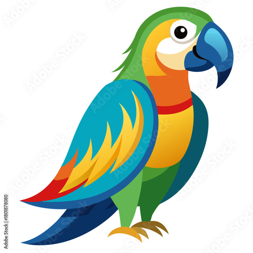 blue and yellow macaw