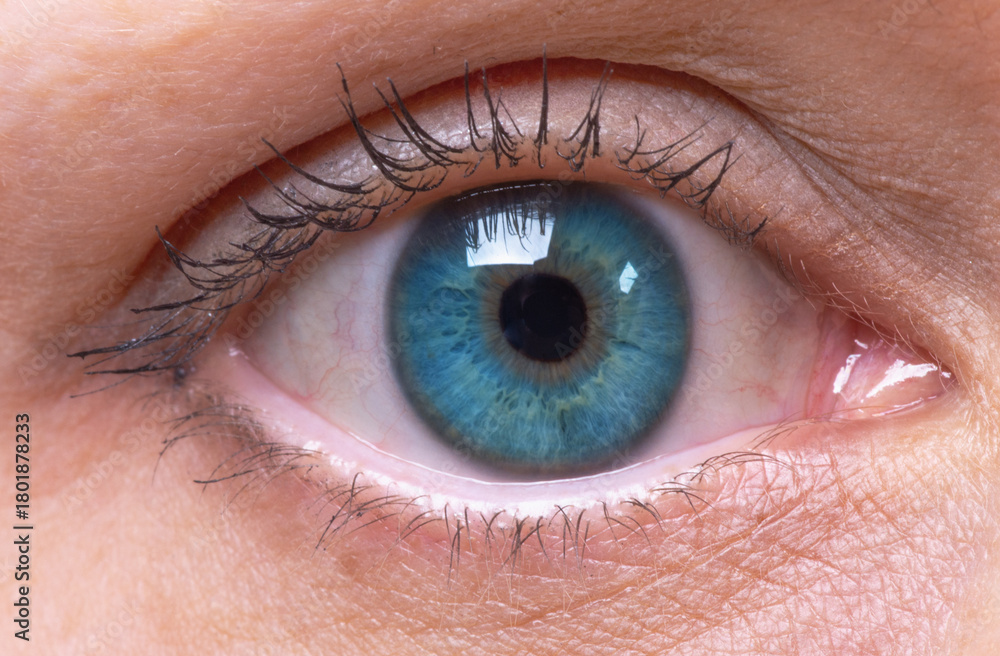 Obraz premium girl's blue eye close up