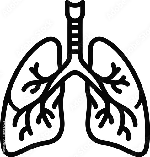 Lungs health medical diagram human respiratory system anatomy illustration eps silhouette