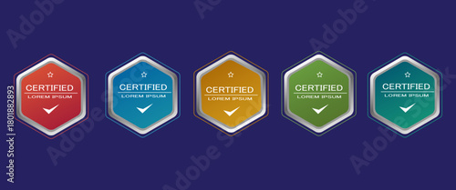 Certificate badge hexagon template vector illustration