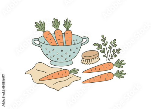 flat vector handdrawn soft palette clean outlines white background zero contain produce wash colander veggie brush towel naked carrots herbs no logos