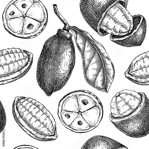 Cupuacu seamless pattern. Tropical plant sketch. Exotic fruit background. Hand drawn vector illustration. Amazonian food drawing. NOT AI generated