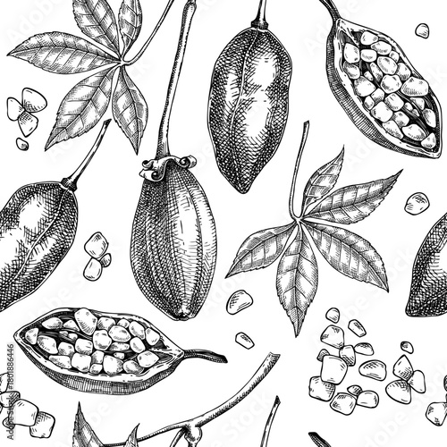 african, backdrop, background, baobab, black, botanical, cuisine, drawing, engraving, exotic, food, forest, fruit, fruits, graphic, hand drawn, healthy, illustration, leaf, leaves, nature, outline, pa
