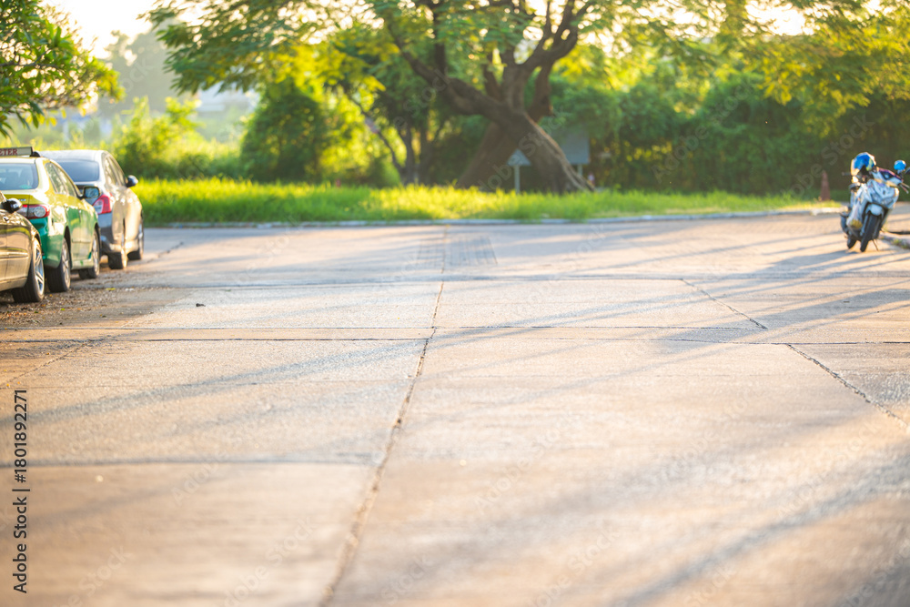 Fototapeta premium Green tree forest city village road