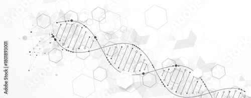 Abstract hexagon futuristic background for design works.
Science template, wallpaper or banner with a DNA molecules.