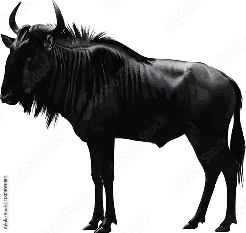 Isolated black wildebeest gnu animal wildlife african mammal horns zoo eps silhouette