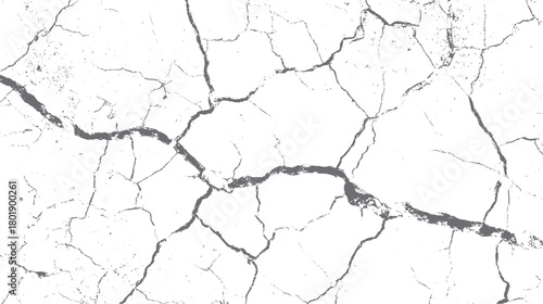 Abstract grey cracked texture on white background with granular details and irregular lines vector