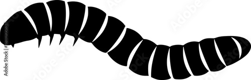 vector illustration of a worm with a segmented body