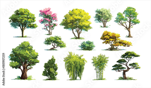 Diverse collection of illustrated trees and bamboo plants with green pink and yellow foliage on white background