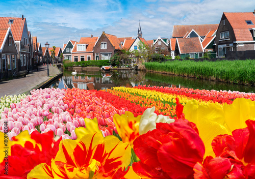 Fototapeta Naklejka Na Ścianę i Meble -  rural dutch country street of small old town Volendam, Netherlands,