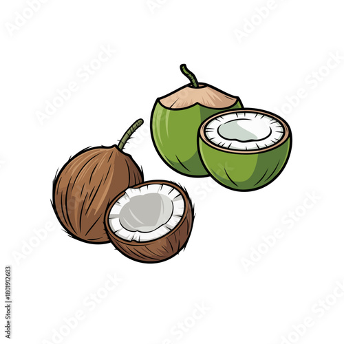 Green And Brown Coconuts Cut Open For Tropical Snack Illustration