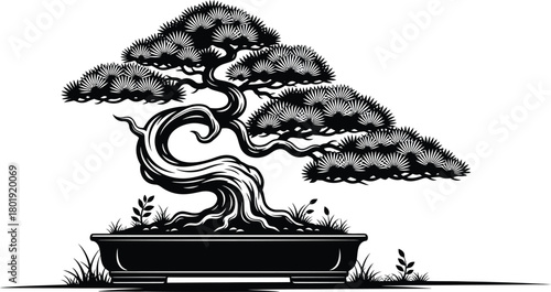 Bonsai tree vector art japanese miniature tree illustration design eps silhouette