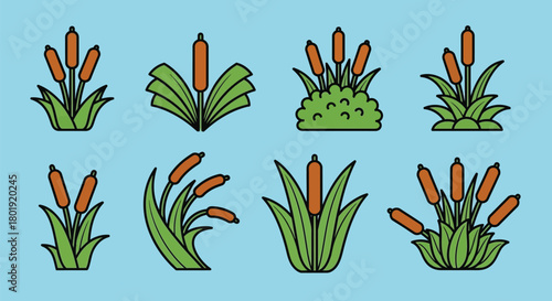 Vector illustration of cattails reed mace typha plant background