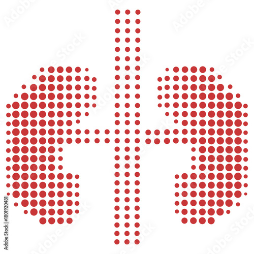 Dotted Abstract Kidney Shape Medical Organ Anatomy Icon Illustration