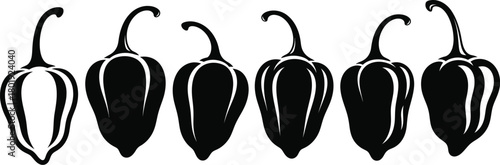Habanero pepper vector illustration hot chili peppers spicy food art