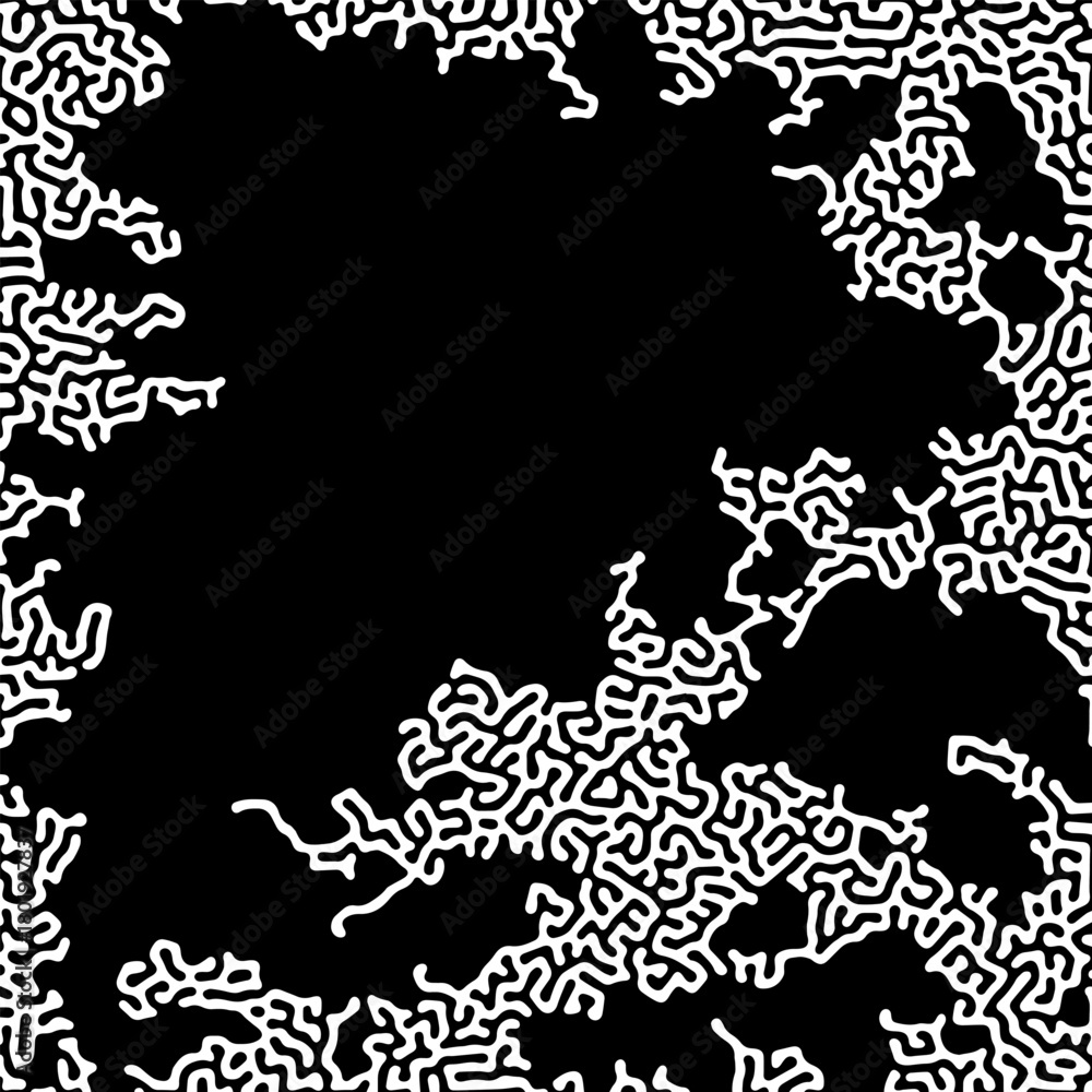 Fototapeta premium ABSTRACT BLACK AND WHITE LINES TURING PATTERN ROUGH DESIGN REACTION DIFFUSION BACKGROUND VECTOR GOOD FOR WALLPAPER, COVER,POSTER 
