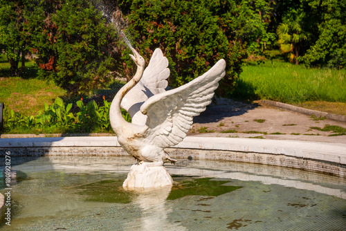 Fototapete Sochi, Russia - July 04, 2020: Skazka Fountain swan close up in the Sochi Arbore