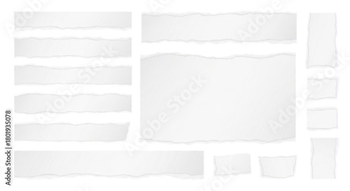 Wallpaper Mural Torn white paper pieces and strips collection isolated on transparent background. Torontodigital.ca