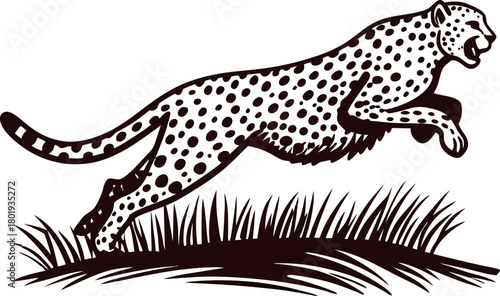 Running cheetah illustration in monochrome isolated on white background with grass and dynamic motion lines