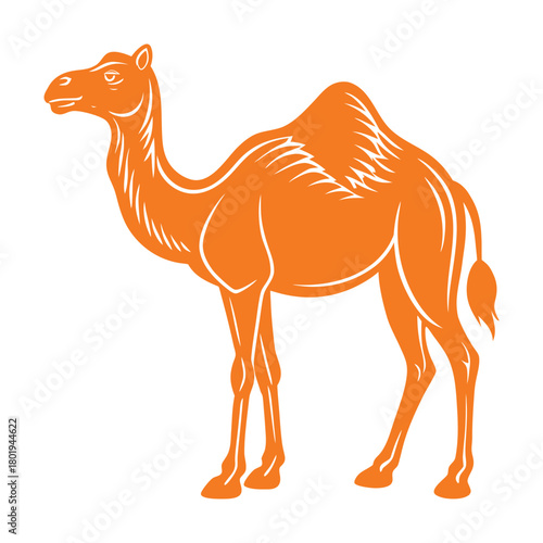 camel vector illustration