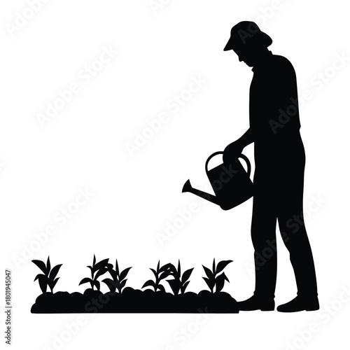 Gardener Silhouette Watering Young Plants