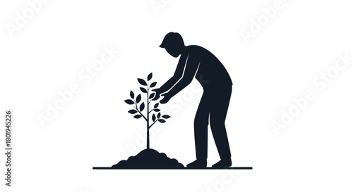 Silhouette of a person planting a small tree in the ground symbolizing growth and environmental care