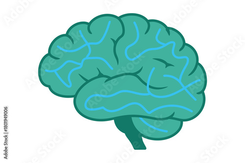 A stylized illustration of the human brain on a white background.