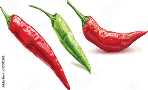 Chili vector art