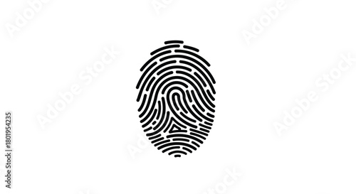 Close up detailed black fingerprint pattern against a clean white background for identification and security concepts