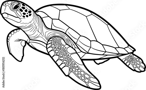 a turtle swimming, outline, vector, line art, sea turtle