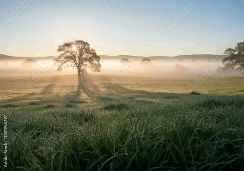 Sunlit tree casts long shadow on misty field of green grass droplets visible on blades