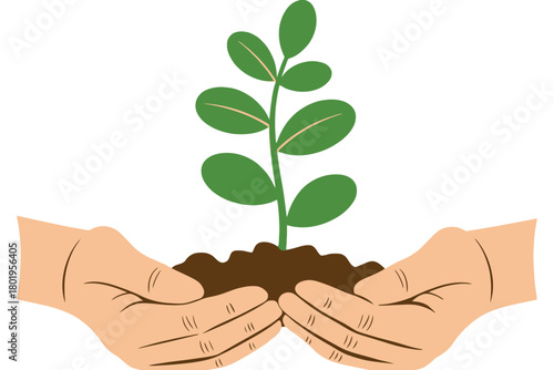 Hands cradle a young plant growing from soil, symbolizing growth and care.