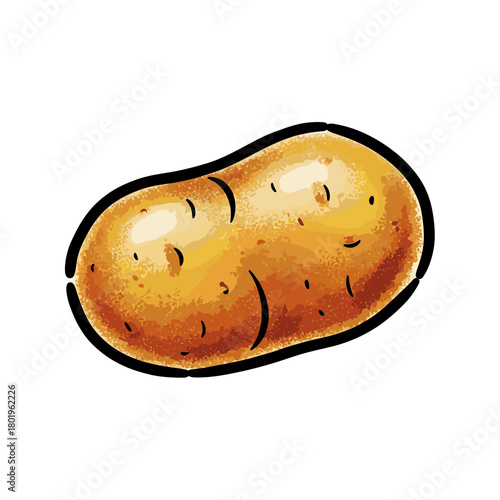 Realistic potato illustration with a textured skin in a playful cartoon style