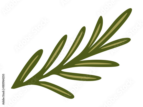 Rosemary branch. Vector isolated illustration