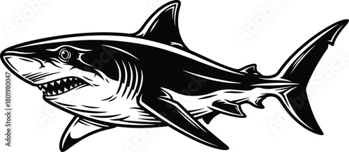 Shark illustration, aggressive pose, black outline, stylized marine animal, bold sketch, tattoo design, ocean predator, flat vector illustration