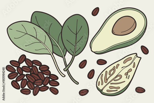 Healthy organic food and vegetarian food concept of avocado, spinach and seeds isolated