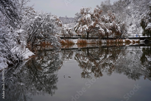 Wallpaper Mural Soldier Lake. The branches of the trees are covered with the first snow. A lake in a mountainous area with a variety of vegetation. November. Torontodigital.ca